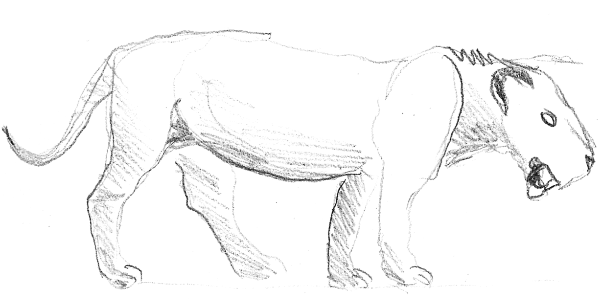 proxy.php
